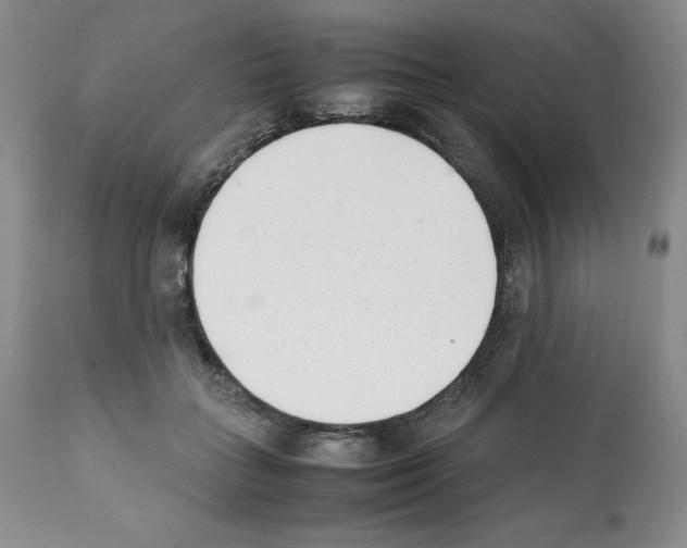 X0000112050555200909151005