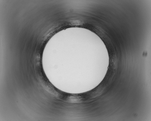 X0000112050556200909151005