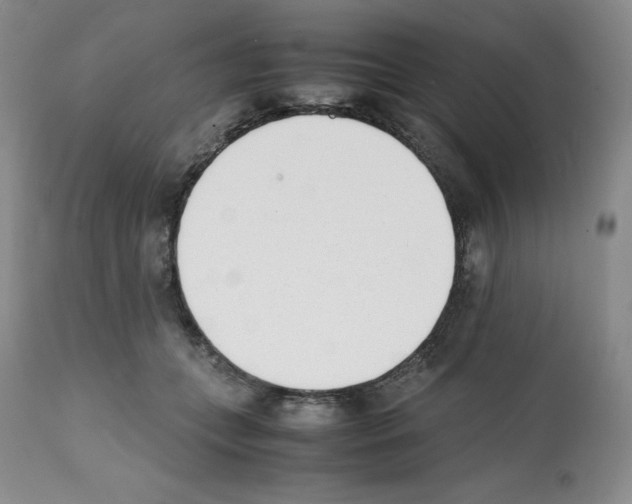 X0000112050559200909151005