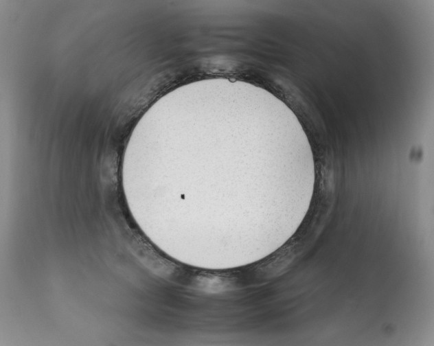 X0000112050561200909151005