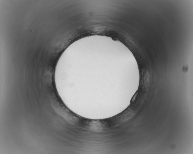 X0000112050562200909151005