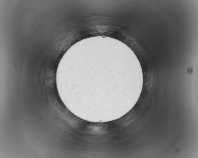 X0000112050563200909151005