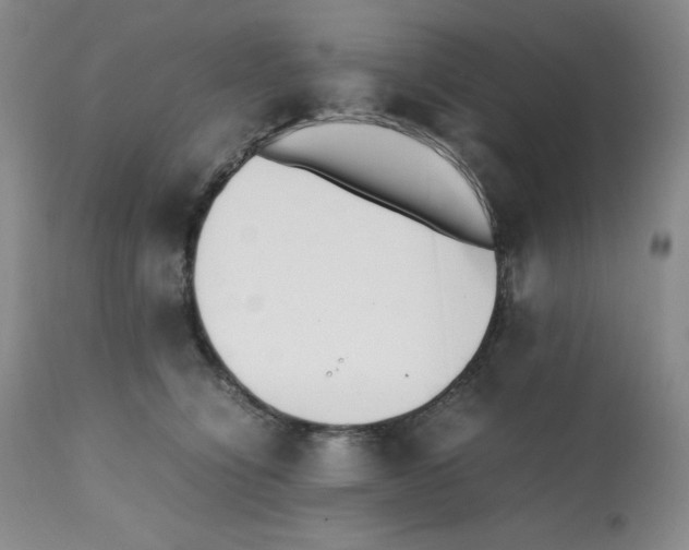 X0000112050564200909151005