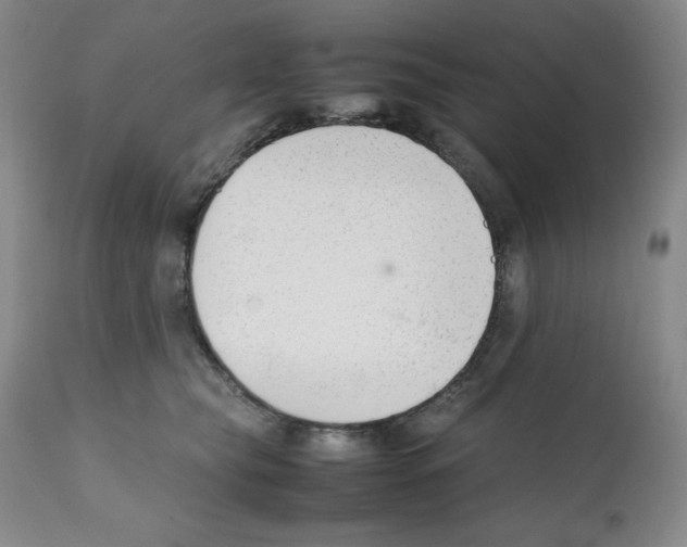 X0000112050565200909151005