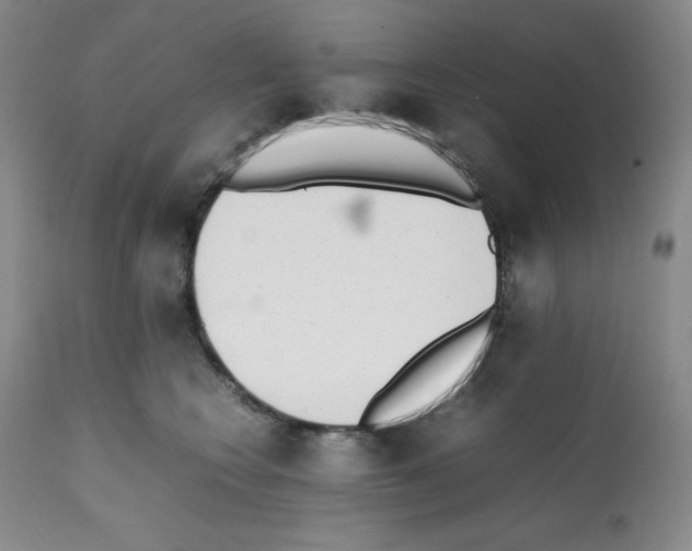 X0000112050566200909151005
