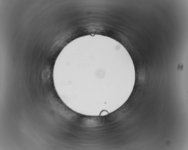X0000112050567200909151005