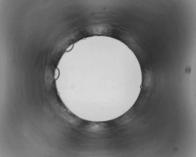 X0000112050569200909151005