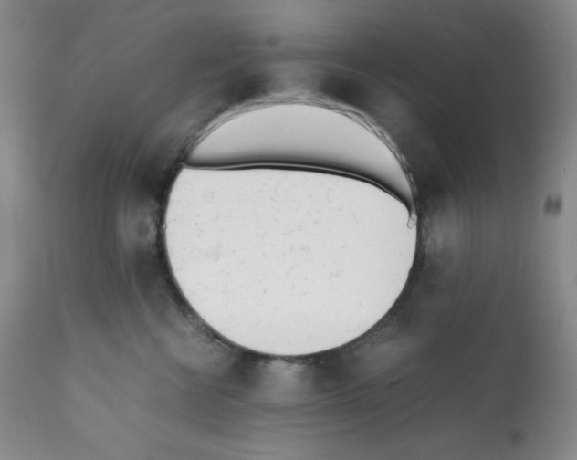 X0000112050570200909151005