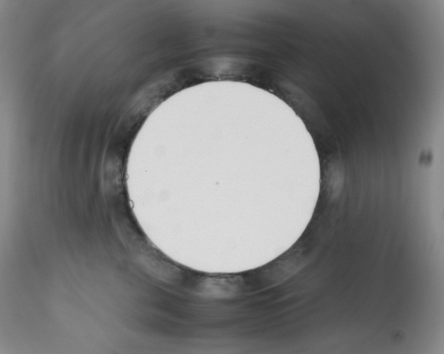 X0000112050571200909151005