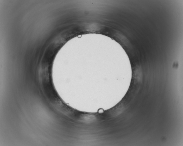 X0000112050572200909151005