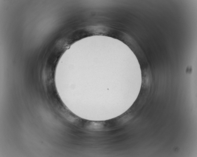 X0000112050573200909151005