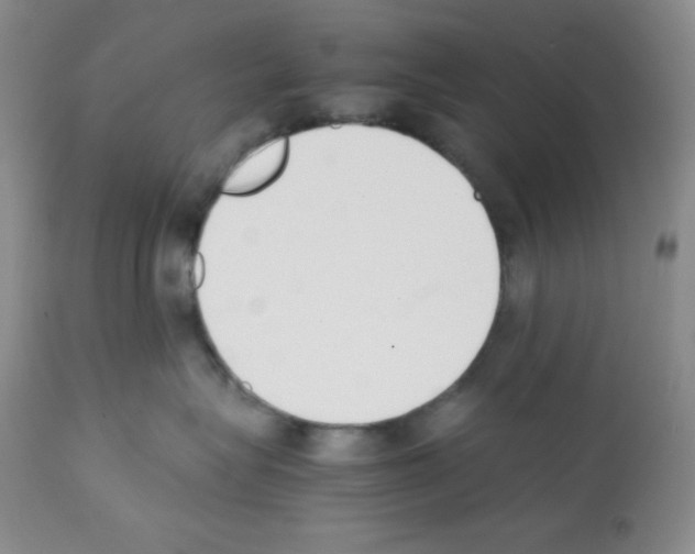 X0000112050575200909151005
