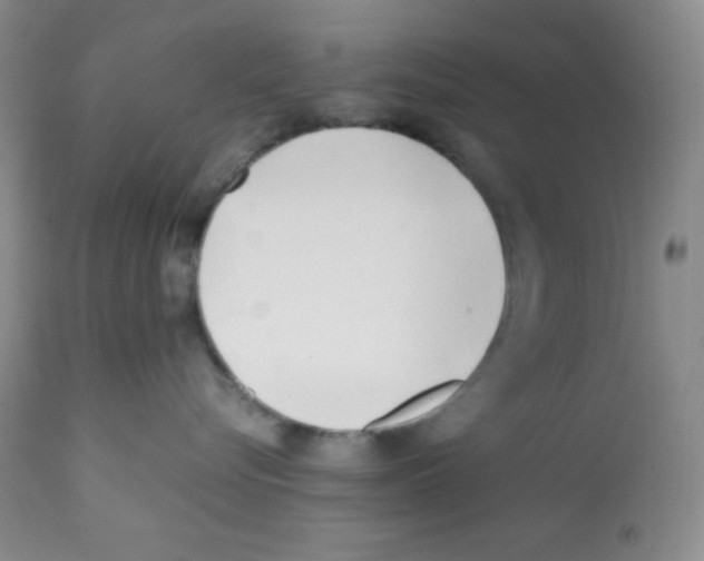 X0000112050576200909151005
