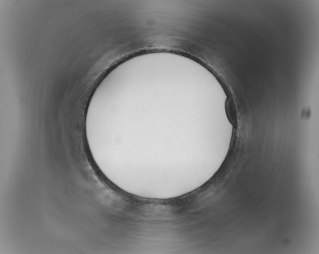 X0000112050577200909151005
