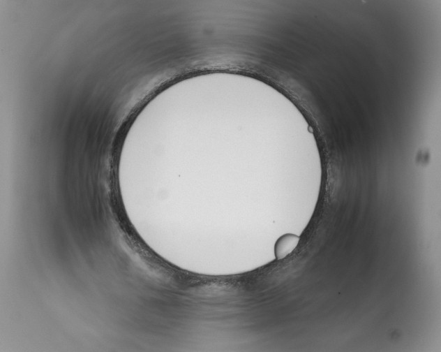 X0000112050578200909151005