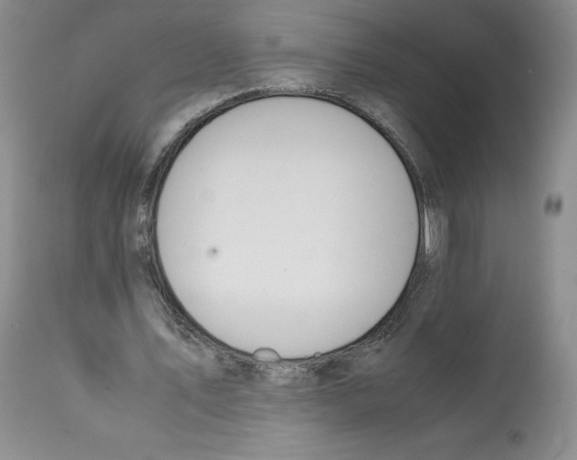 X0000112050579200909151005
