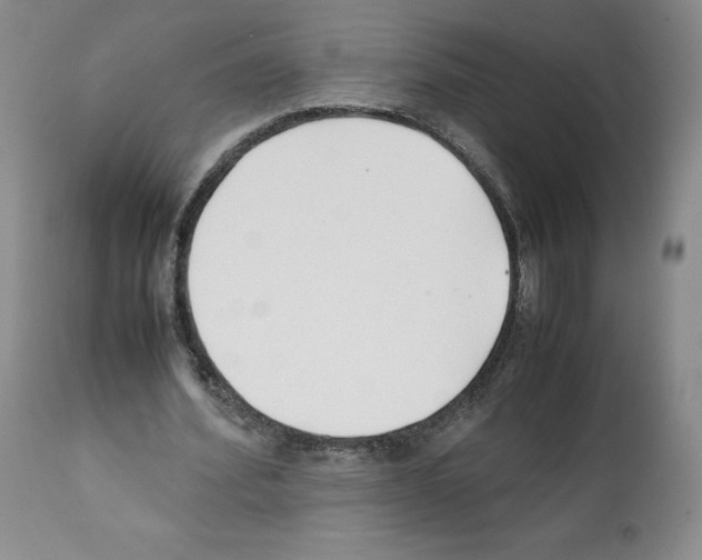 X0000112050580200909151005