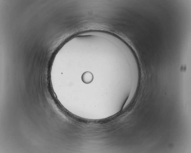 X0000112050581200909151005
