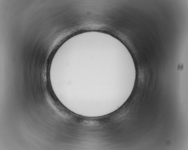 X0000112050582200909151005