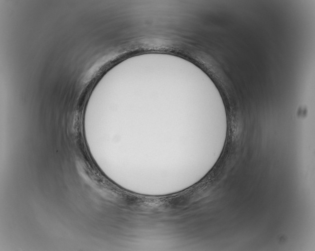X0000112050583200909151005