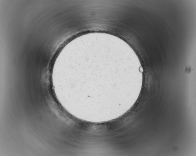 X0000112050584200909151005