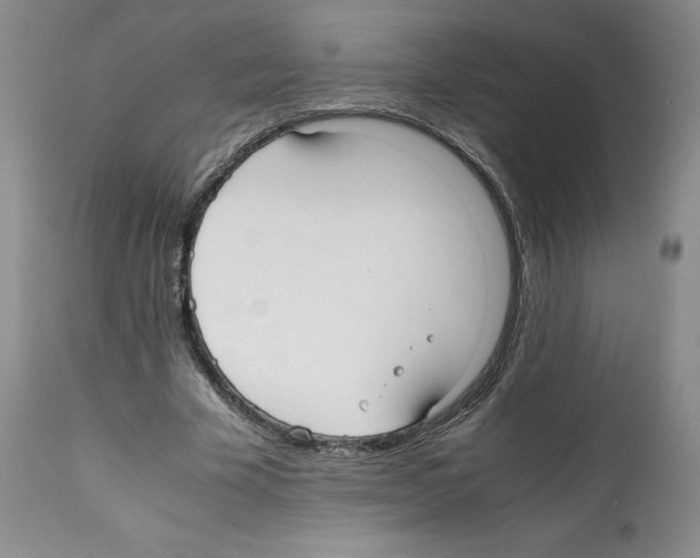 X0000112050585200909151005