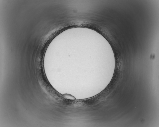 X0000112050587200909151005