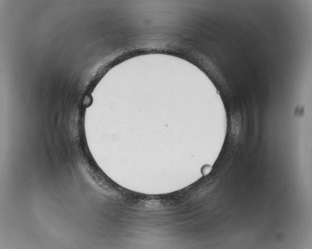 X0000112050588200909151005