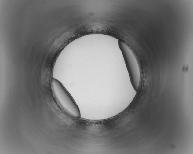 X0000112050593200909151004