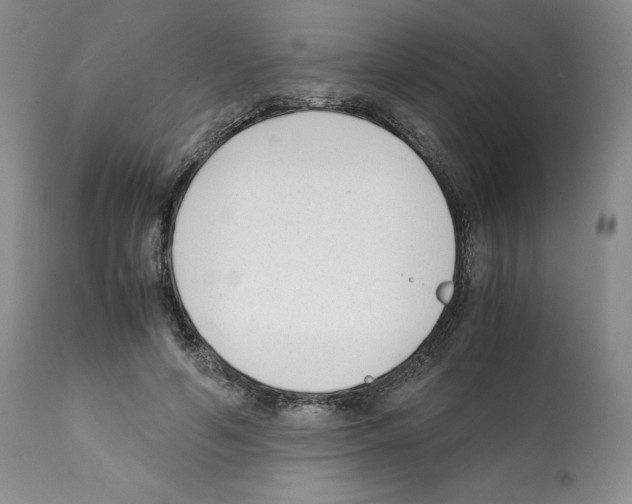 X0000112050594200909151004