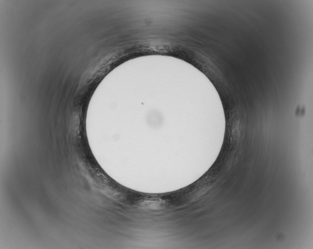 X0000112050595200909151004