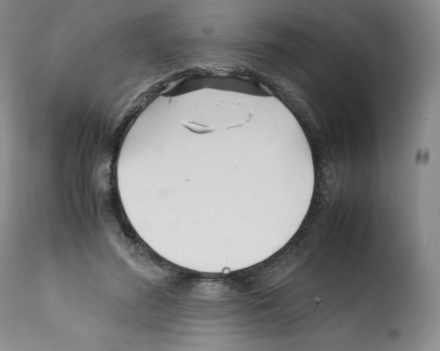 X0000112050596200909151004