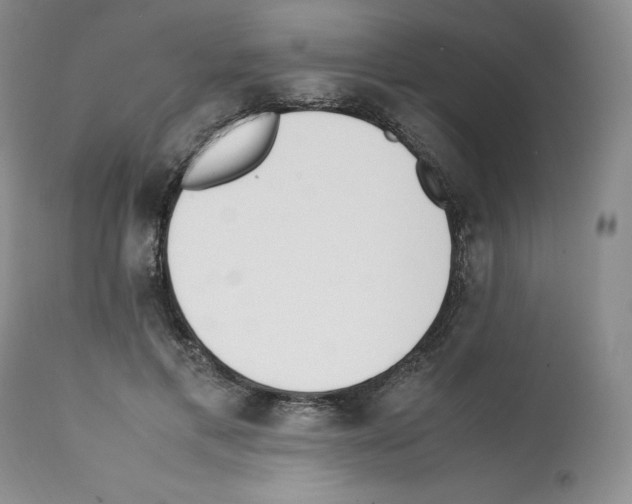 X0000112050597200909151004