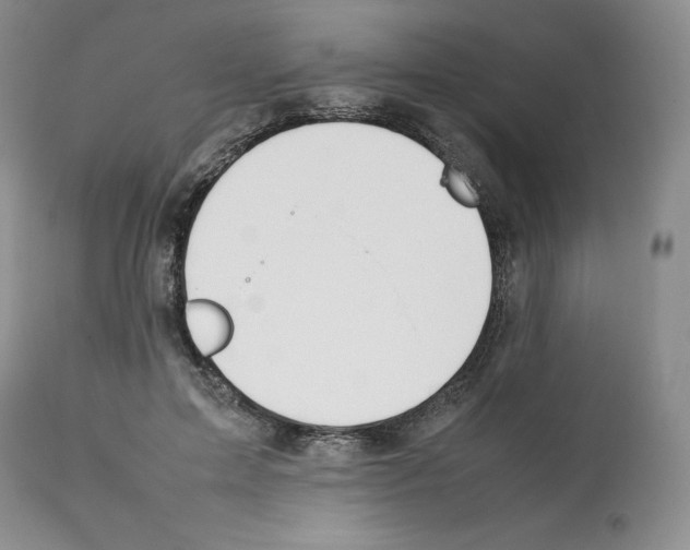 X0000112050599200909151004