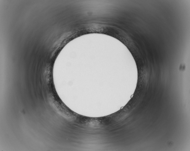 X0000112050600200909151004