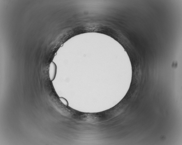 X0000112050601200909151004