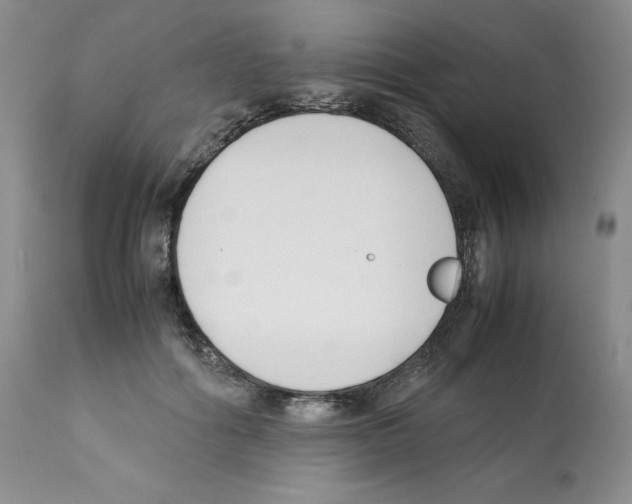 X0000112050602200909151004