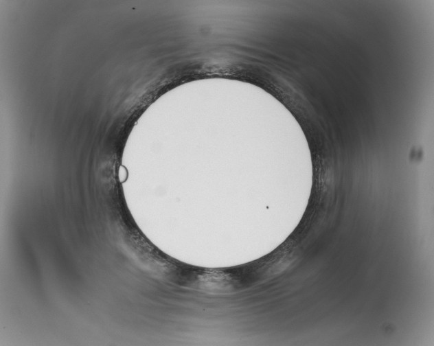 X0000112050603200909151004