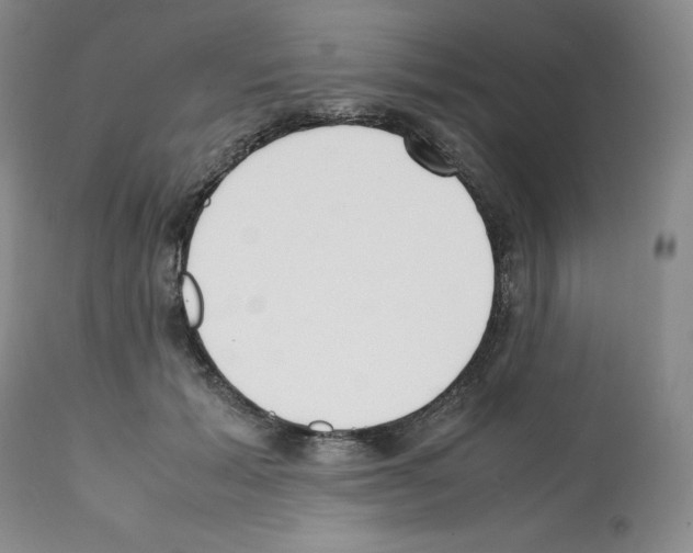 X0000112050605200909151004