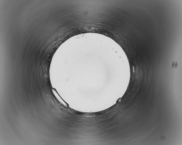 X0000112050606200909151004