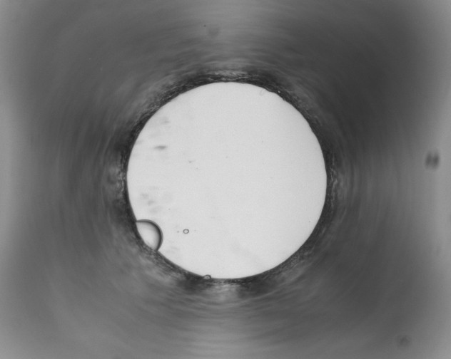 X0000112050609200909151004