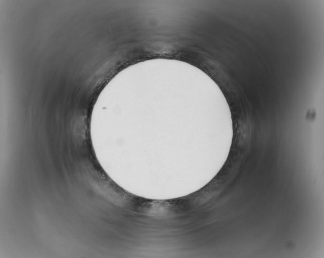 X0000112050612200909151004