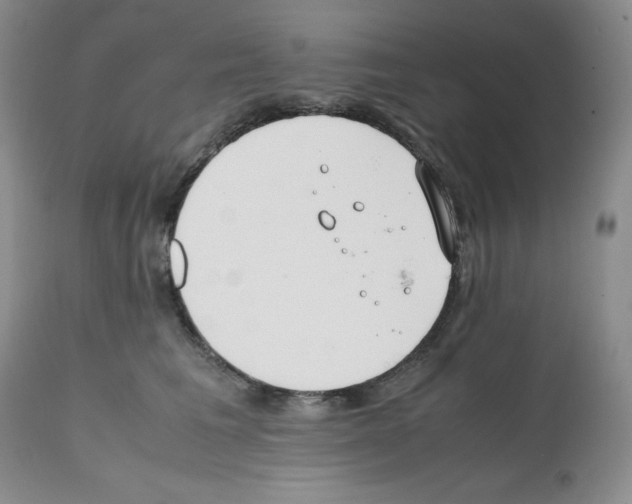 X0000112050613200909151004