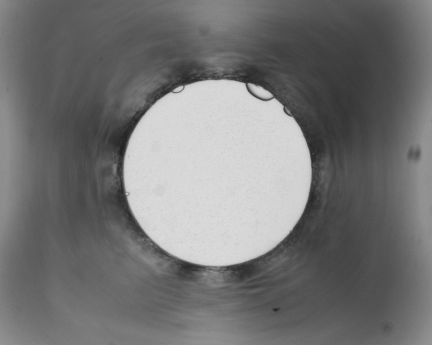 X0000112050615200909151004