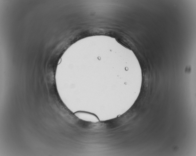 X0000112050617200909151004