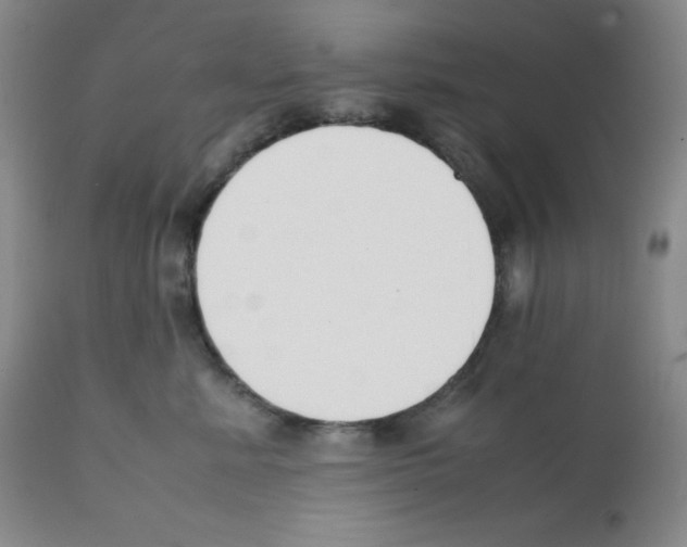 X0000112050619200909151004