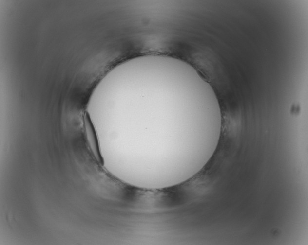 X0000112050621200909151004