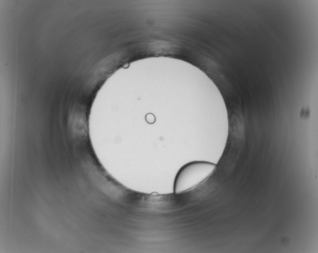 X0000112050622200909151004