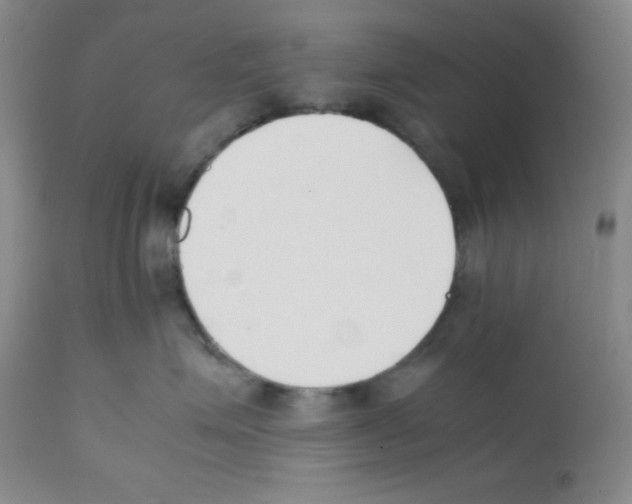 X0000112050623200909151004