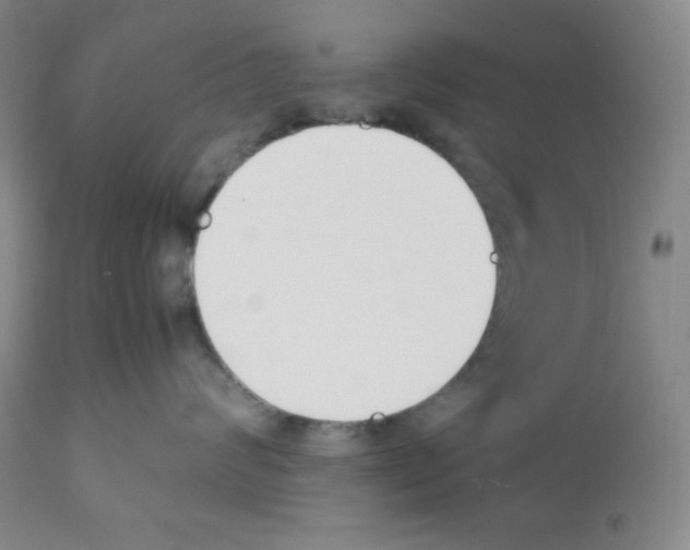 X0000112050624200909151004